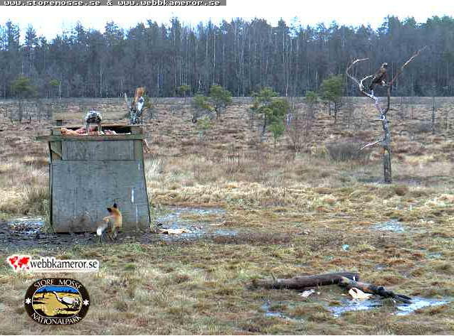 2010-03-22_192700.png