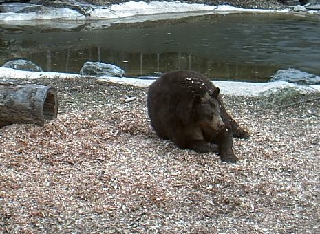 2010-03-22_213534.jpg