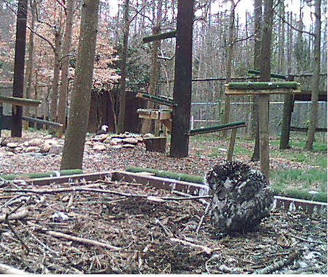 2010-03-22_221502.png