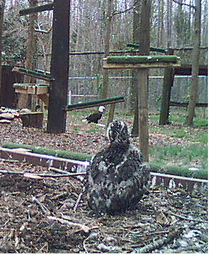 2010-03-22_221531.png