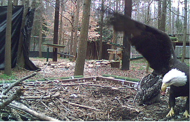2010-03-22_221656.png