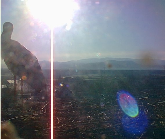 2010-03-23_090114.jpg