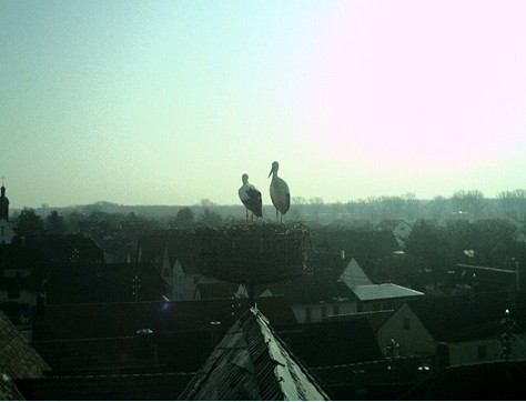 2010-03-23_090638.jpg