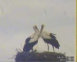 2010-03-23_095503.png