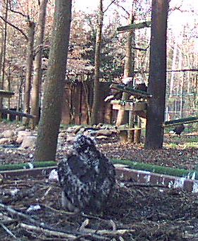 2010-03-23_134637.png
