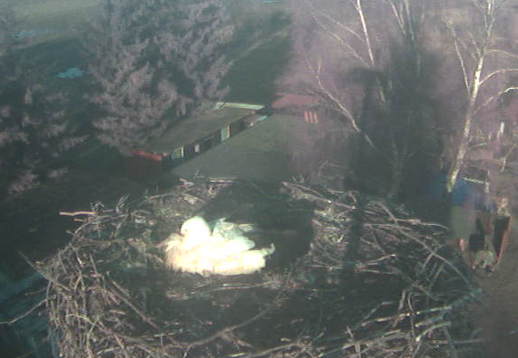 2010-03-23_170238.png