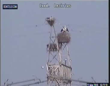 2010-03-23_172351.png