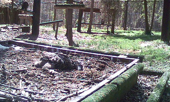 2010-03-23_202030.jpg