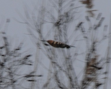 2010-03-23_214116.jpg