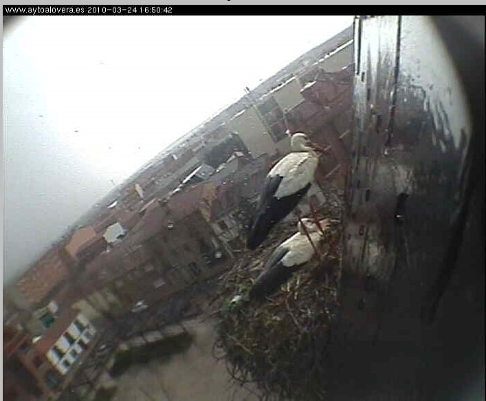 2010-03-24_153011.jpg