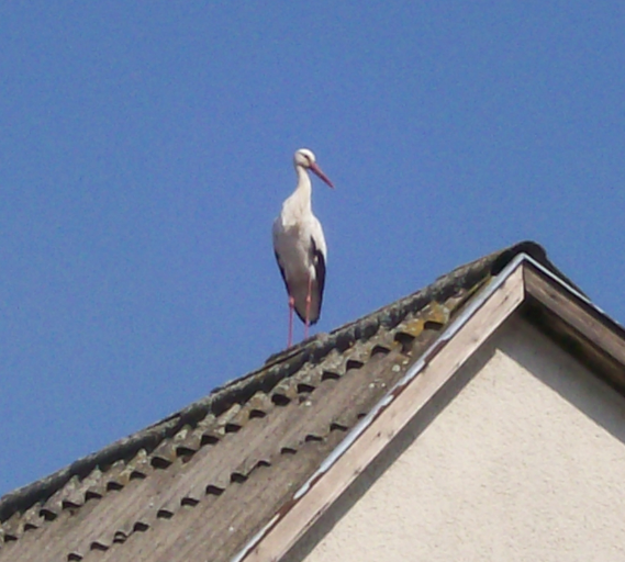 2010-03-24_213430.png