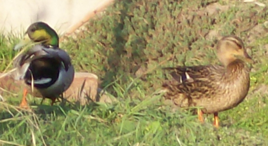 2010-03-24_214108.png