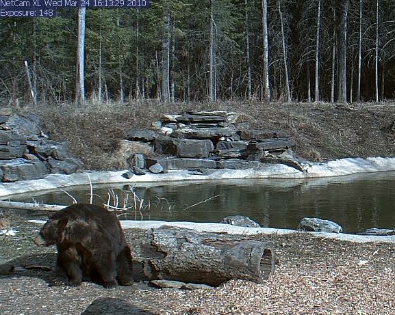 2010-03-24_221416.jpg