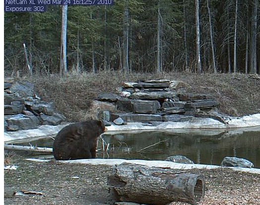 2010-03-24_221343.jpg