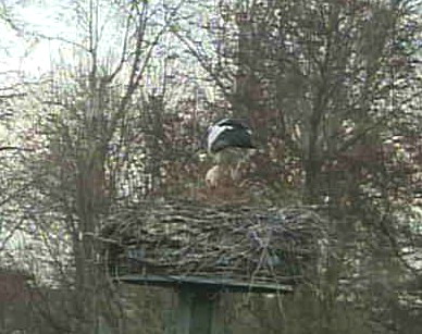 2010-03-25_073810.jpg