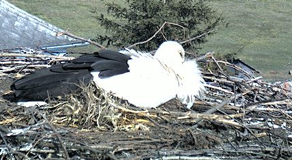 2010-03-25_085811.png