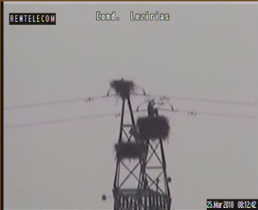 2010-03-25_091342.png