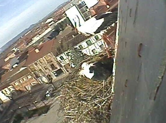 2010-03-25_091811.jpg