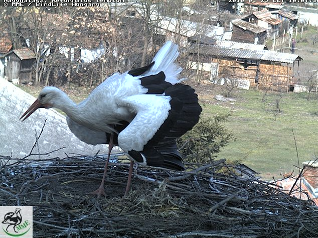 2010-03-25_100811.png