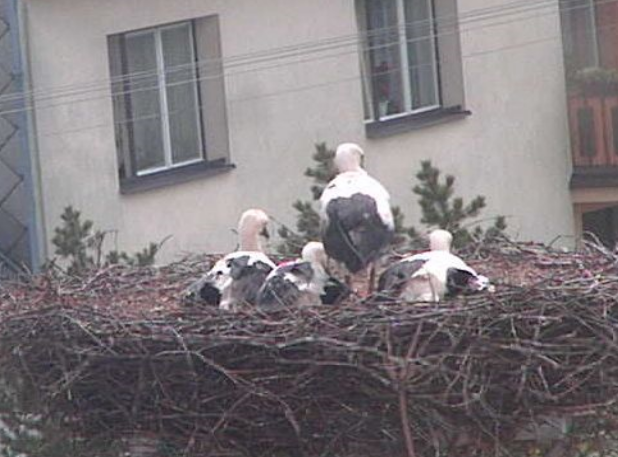 2010-03-25_130048.png