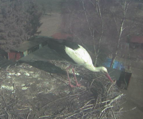 2010-03-25_135139.png