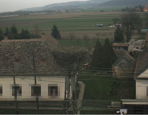2010-03-25_164342.jpg