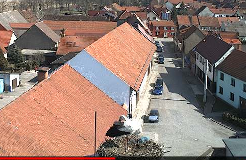 2010-03-25_170528.png