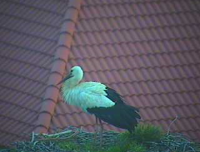 2010-03-25_181039.png