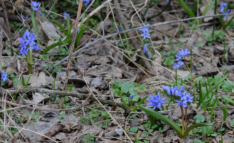 2010-03-25_192200.jpg