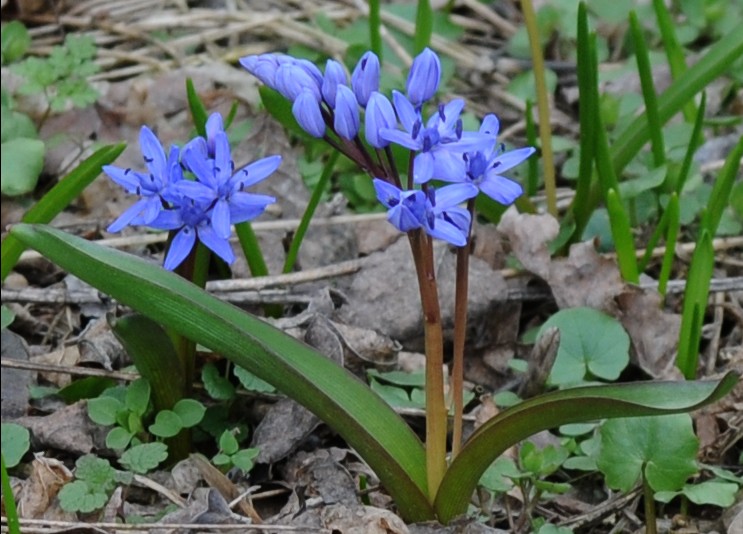 2010-03-25_192502.jpg