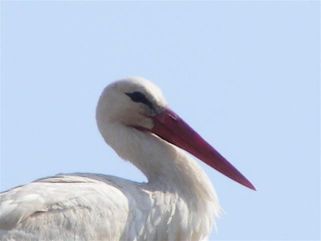 DSCF9086 (Small).JPG