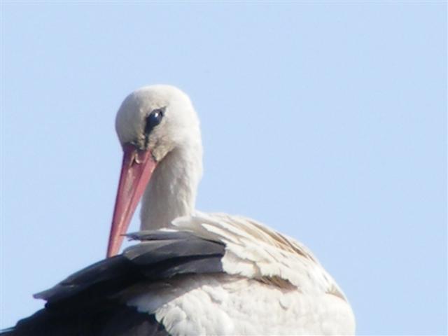 DSCF9087 (Small).JPG