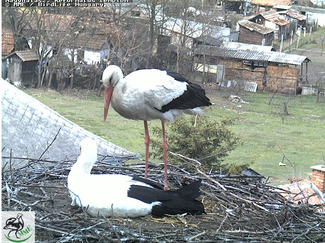 2010-03-26_114449.png
