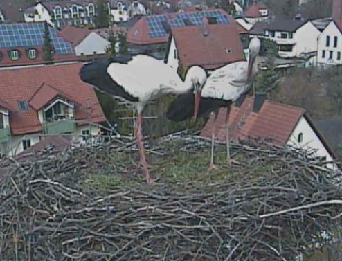 2010-03-26_140743.png