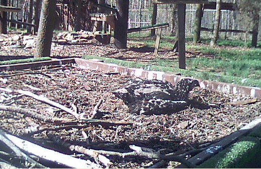 2010-03-26_153537.jpg