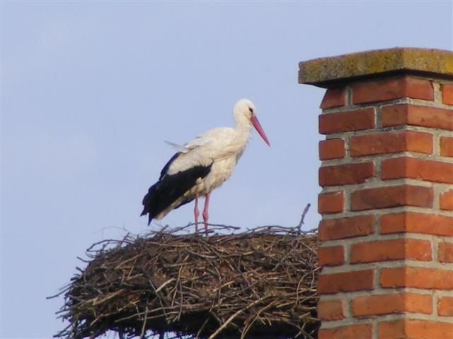 DSCF9099 (Small).JPG