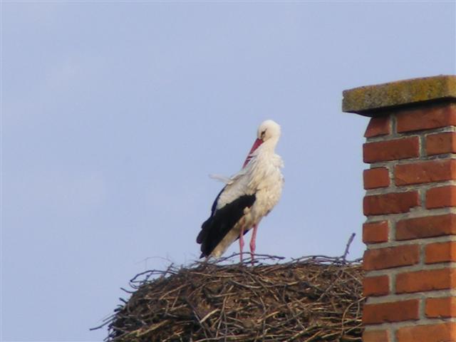 DSCF9100 (Small).JPG