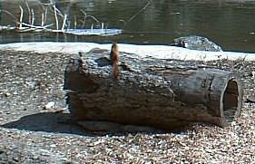 2010-03-26_195919.jpg