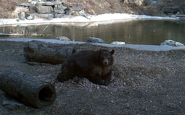2010-03-26_234150.jpg