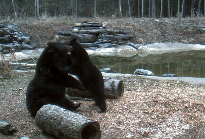 2010-03-27_200546.jpg