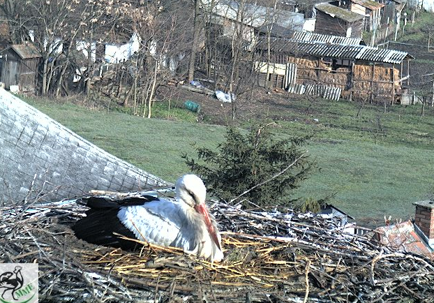 2010-03-28_083718.png