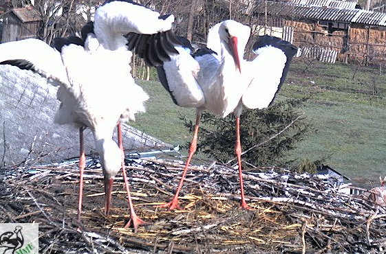 2010-03-28_084930.png