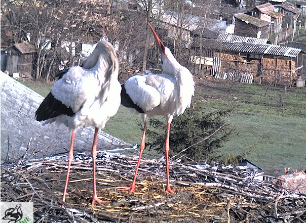 2010-03-28_084936.png