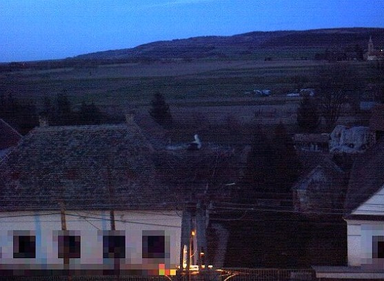 2010-03-28_202116.jpg