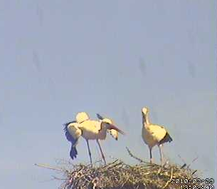 2010-03-29_130517.png