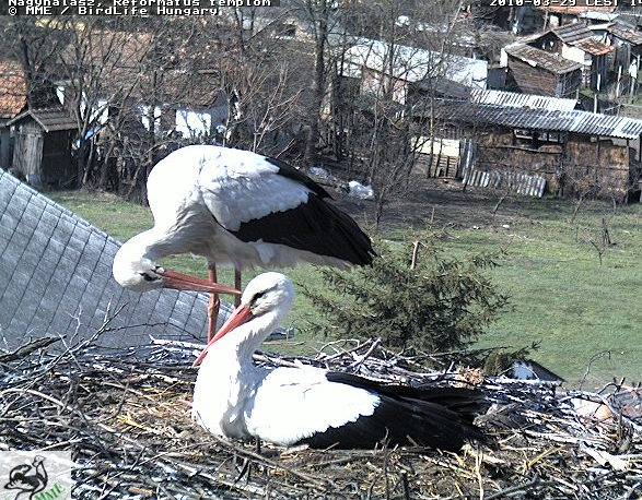 2010-03-29_142937.png