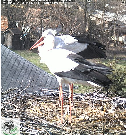 2010-03-29_151911.png