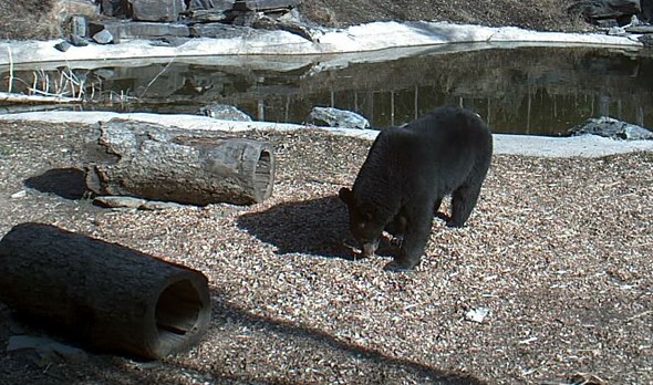 2010-03-29_231740.jpg