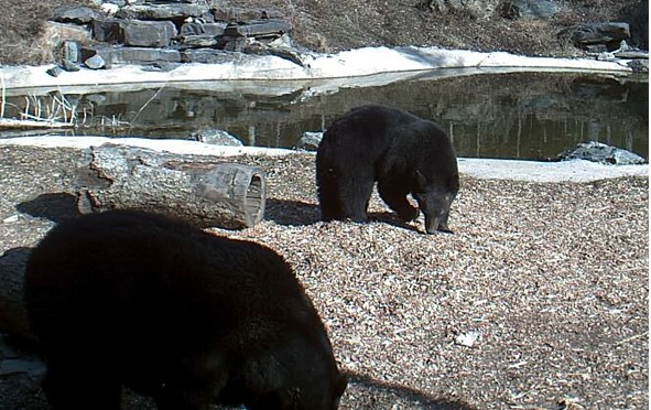 2010-03-29_231716.jpg