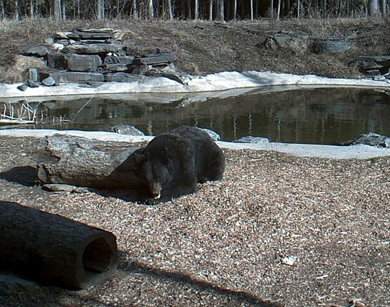 2010-03-29_231436.jpg